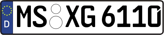 MS-XG6110