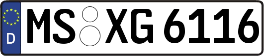 MS-XG6116