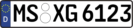 MS-XG6123