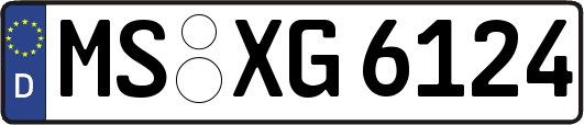 MS-XG6124