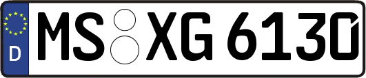 MS-XG6130