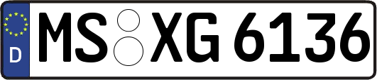 MS-XG6136