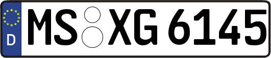MS-XG6145