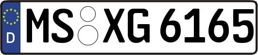MS-XG6165