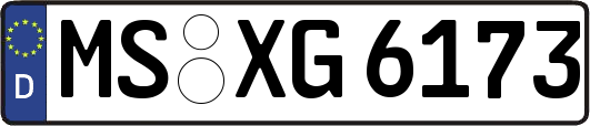 MS-XG6173