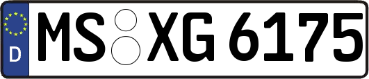 MS-XG6175