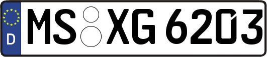 MS-XG6203