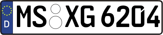 MS-XG6204