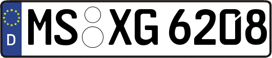 MS-XG6208
