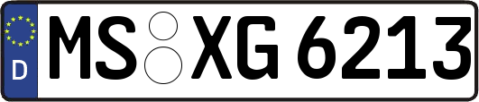 MS-XG6213