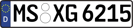 MS-XG6215