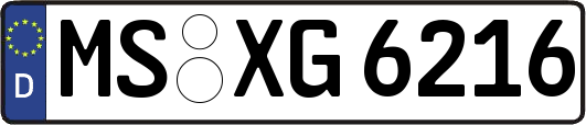 MS-XG6216