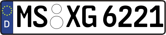 MS-XG6221