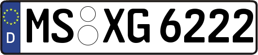 MS-XG6222