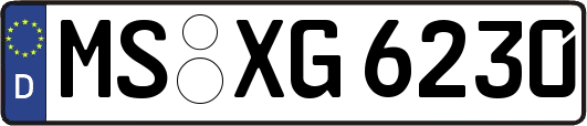 MS-XG6230