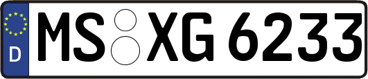 MS-XG6233