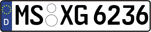 MS-XG6236