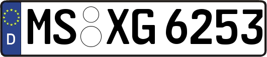 MS-XG6253