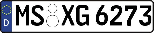 MS-XG6273