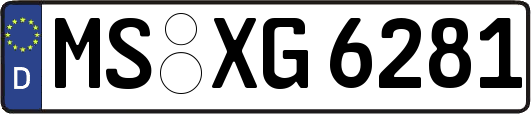 MS-XG6281
