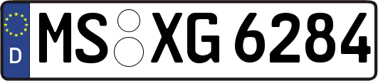 MS-XG6284