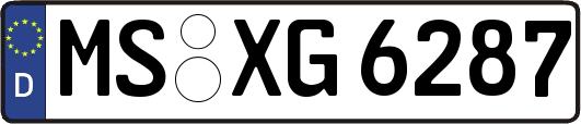 MS-XG6287