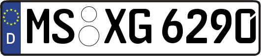 MS-XG6290