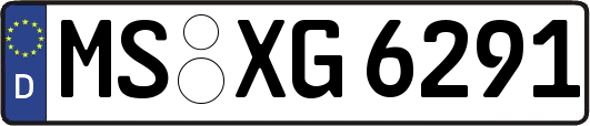 MS-XG6291