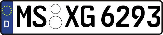 MS-XG6293