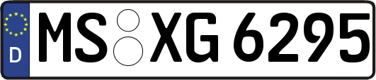 MS-XG6295