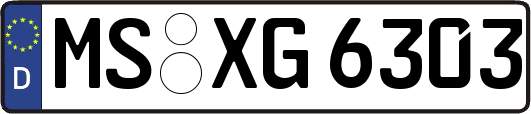 MS-XG6303