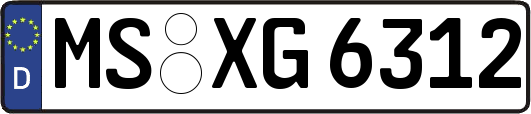 MS-XG6312