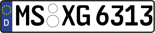 MS-XG6313