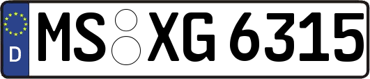 MS-XG6315