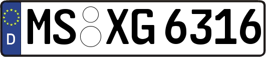MS-XG6316