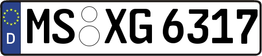 MS-XG6317