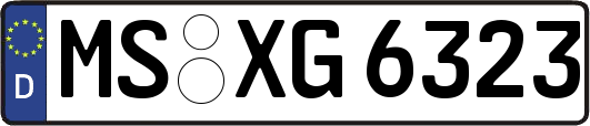 MS-XG6323