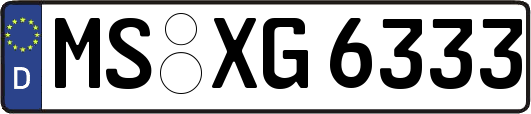 MS-XG6333