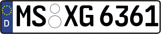 MS-XG6361