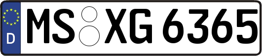 MS-XG6365