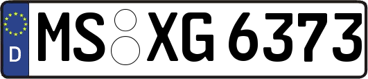 MS-XG6373
