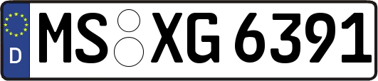 MS-XG6391