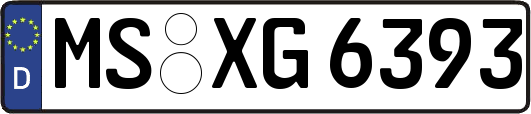 MS-XG6393