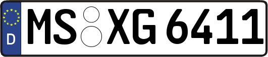 MS-XG6411