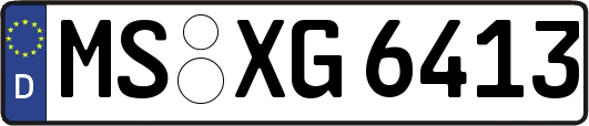 MS-XG6413