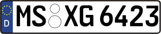 MS-XG6423