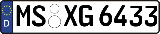 MS-XG6433