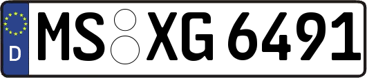 MS-XG6491