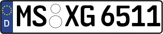 MS-XG6511