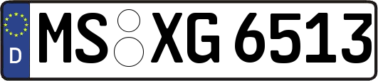 MS-XG6513